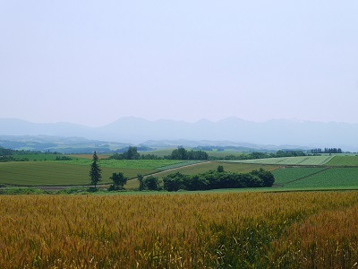 c0227720_00043167.jpg