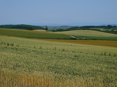 c0227720_00044548.jpg
