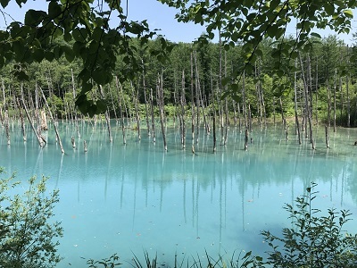 c0227720_00485751.jpg