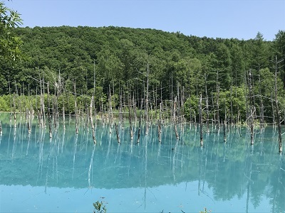 2017北海道一人旅～Part6～_c0227720_00490478.jpg