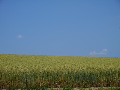 c0227720_00564198.jpg