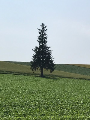 c0227720_00583273.jpg