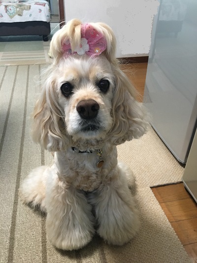 Happy birthday!！　★Vol.1★_e0345627_16451172.jpg