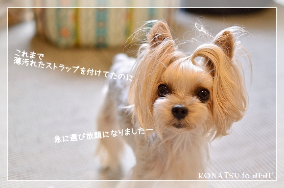 d0179828_16393452.png