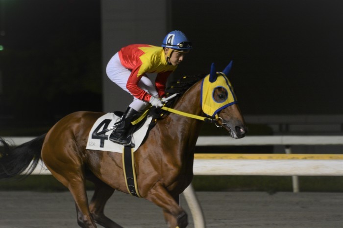 クイーンオブスカイ 16戦目＠船橋競馬場　12R　2017.7.21_b0368243_22215657.jpg