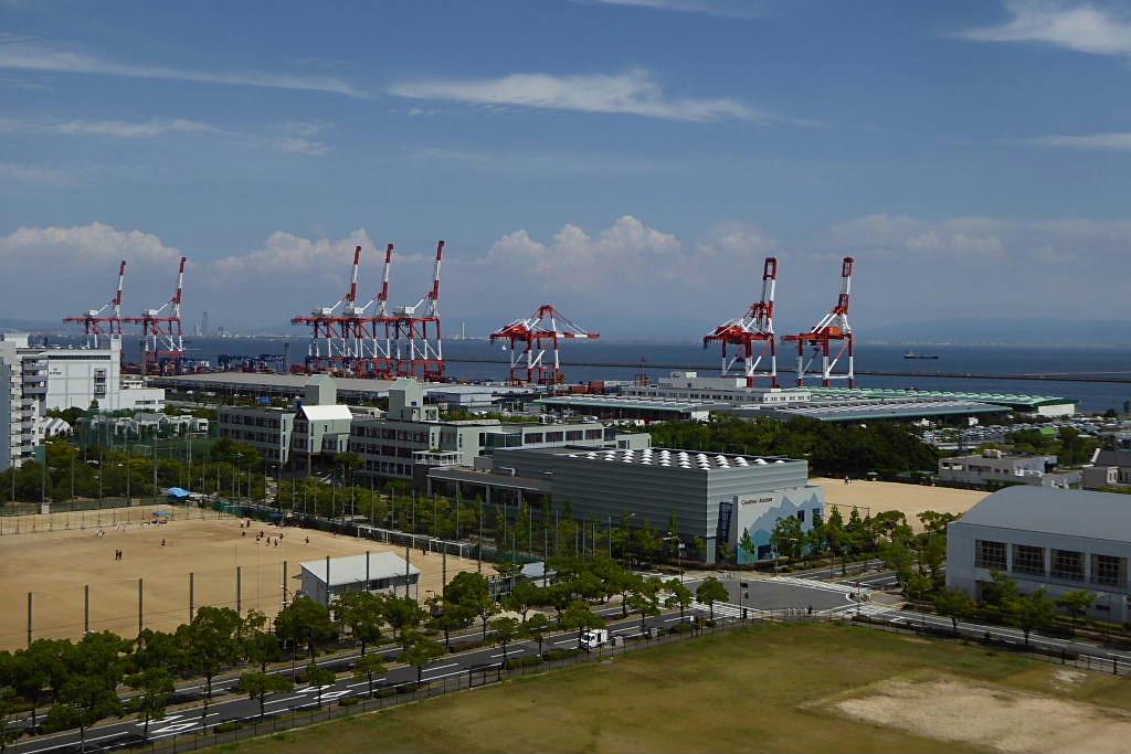 夏景色四題、向日葵、葉鶏頭、浜木綿、機織りバッタ、小玉西瓜、胡瓜、トマト、_c0051143_2345790.jpg