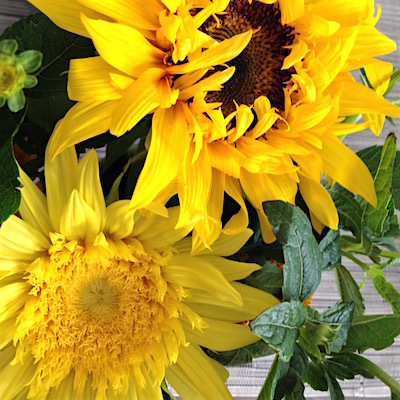 c0227245_01111340.jpg