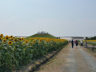 c0179348_20061152.jpg