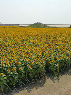 c0179348_20072313.jpg