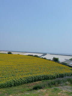 c0179348_20103050.jpg