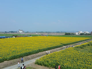 c0179348_20103088.jpg
