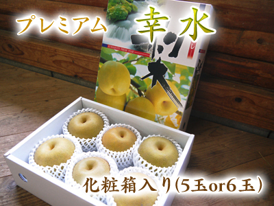 熊本梨 岩永農園 匠の最終摘果作業に同行取材(前編:美味しく甘く育てるためのこだわりの無袋栽培)_a0254656_17422614.jpg