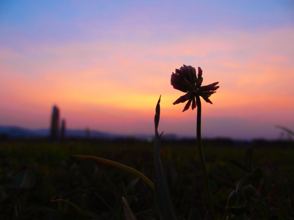 いい感じの夕方キャッチボール_c0122670_05111331.jpg