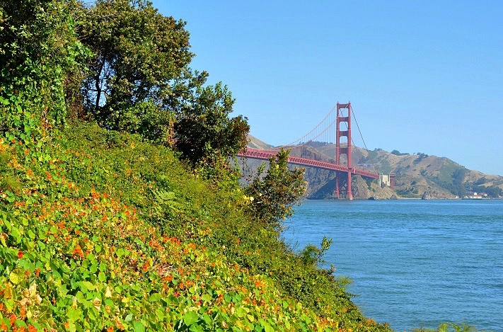 At Golden Gate Bridge, south side #2_b0369375_05553757.jpg