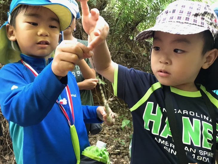 はじめてのキャンプ〔１日目〕亜熱帯の森探検。天然記念物をはじめ、たくさんの生き物に出会いました。_d0363878_1617682.jpg