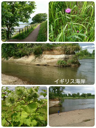 b0224081_10214623.png
