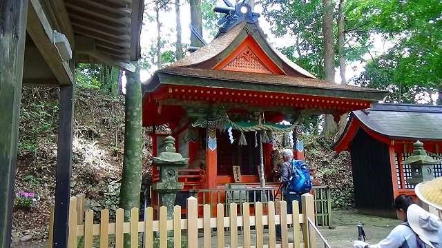 熊野古道・中辺路 滝尻王子~高原熊野神社~大阪本王子ー2_b0326483_21283633.jpg