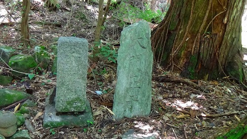 熊野古道・中辺路 滝尻王子~高原熊野神社~大阪本王子ー2_b0326483_21292892.jpg