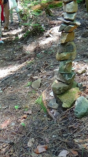 熊野古道・中辺路 滝尻王子~高原熊野神社~大阪本王子ー2_b0326483_21333054.jpg
