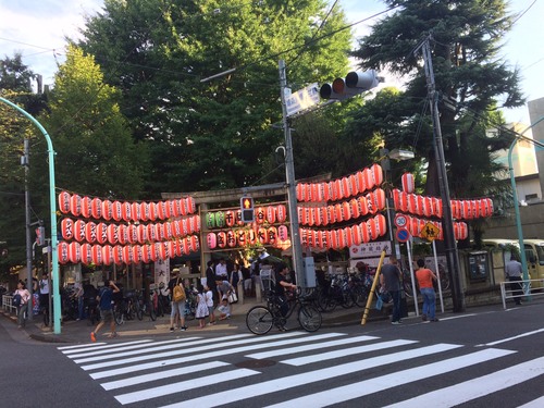 「祭、カブトムシや」_a0075684_11582814.jpg