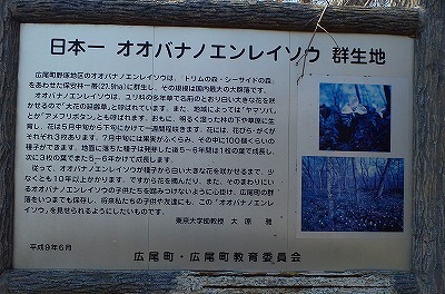 b0191190_06155423.jpg
