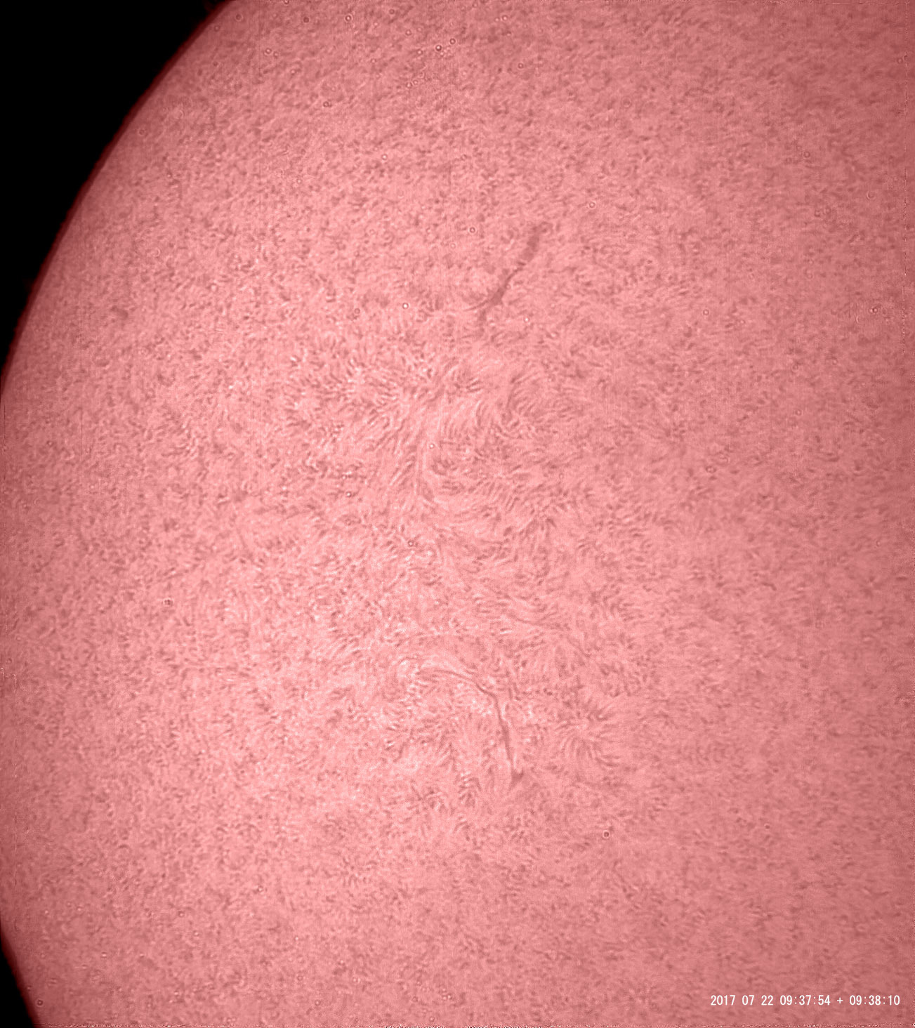7月22日の太陽_e0174091_11452444.jpg