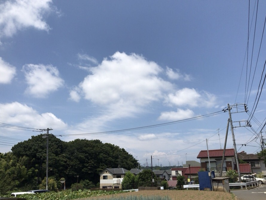 d0135694_12132614.jpg