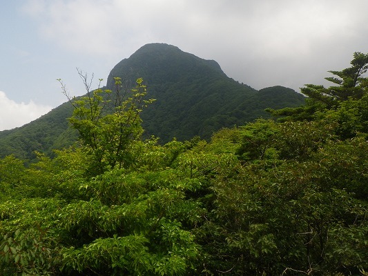 f0187402_16154935.jpg