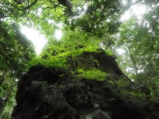 f0187402_16170411.jpg