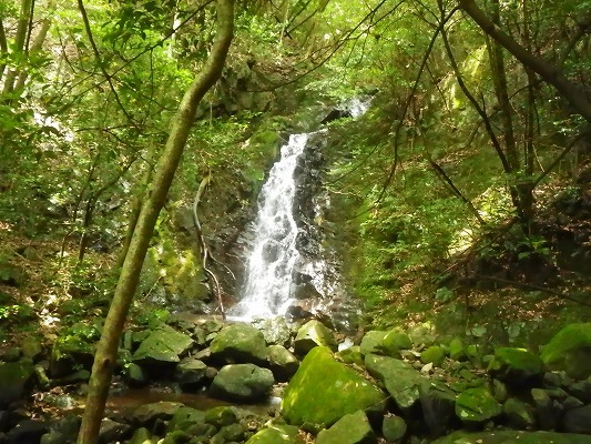 f0187402_16175580.jpg