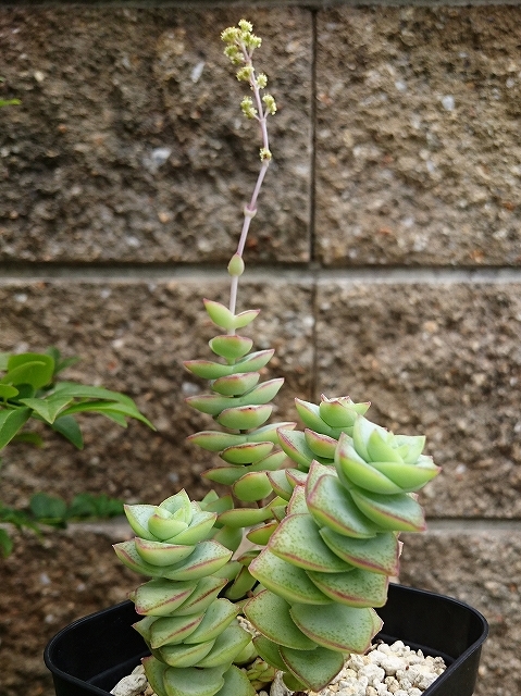 e0289203_21074313.jpg