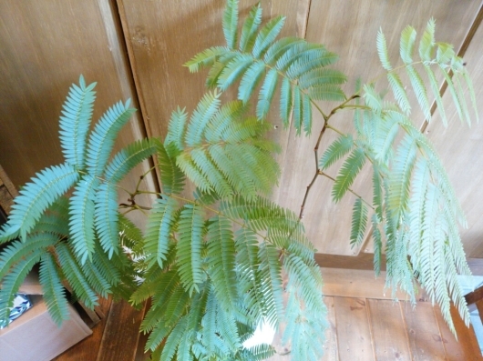 f0255704_10505132.jpg