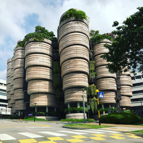 17 シンガポール 南洋理工大学に行ってみた I Love Singapore 17 シンガポール 南洋理工大学に行ってみた I Love Singapore