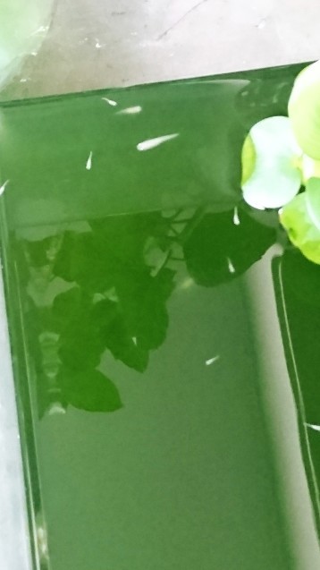 c0152507_04473252.jpg