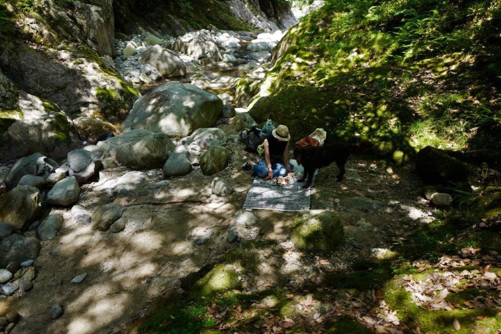 f0365212_16073374.jpg