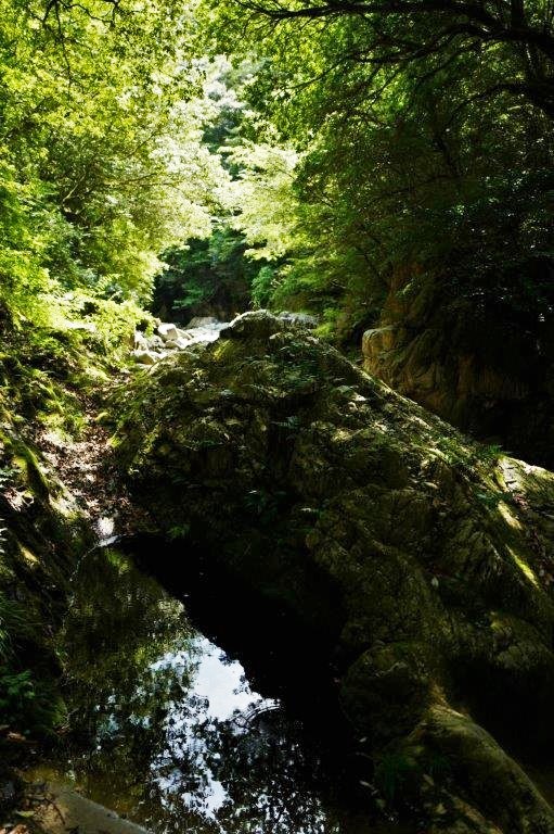 f0365212_16073930.jpg
