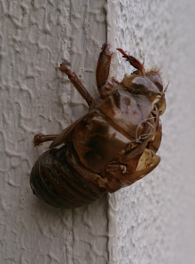 f0354314_22403473.png