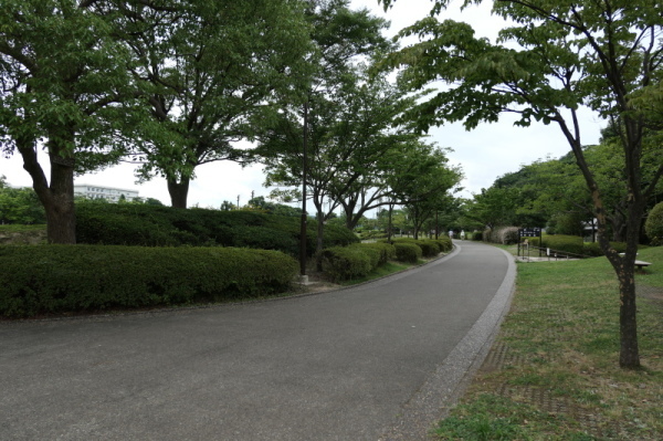 f0369014_10022415.jpg
