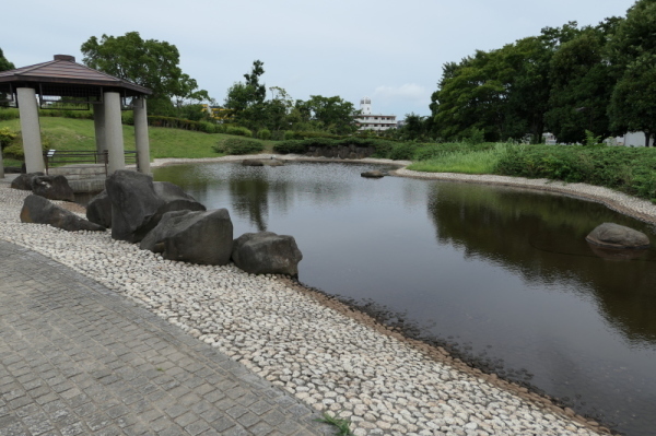f0369014_10070168.jpg