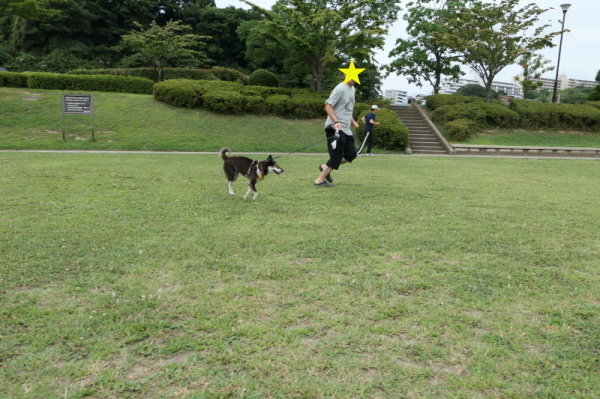 f0369014_12471857.jpg