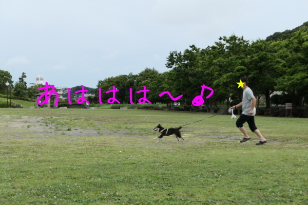 f0369014_12514325.jpg