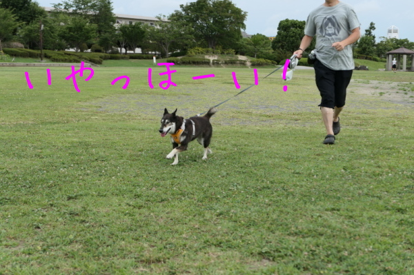 f0369014_12564056.jpg