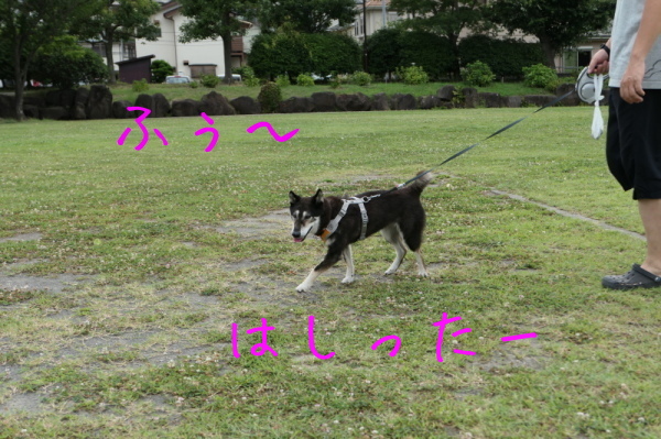 f0369014_12594916.jpg