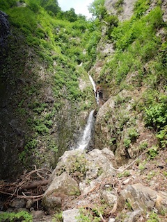 c0359615_12413031.jpg