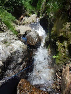 c0359615_12440100.jpg