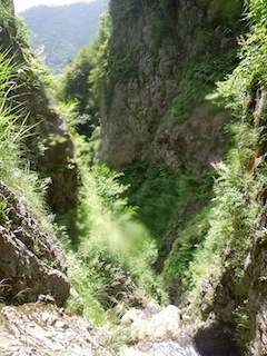 c0359615_12441237.jpg