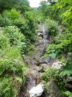 c0359615_12444934.jpg