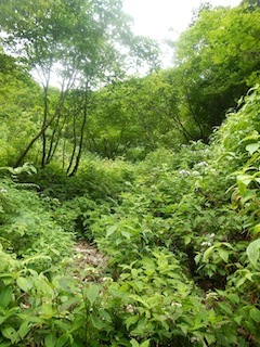 c0359615_12452273.jpg