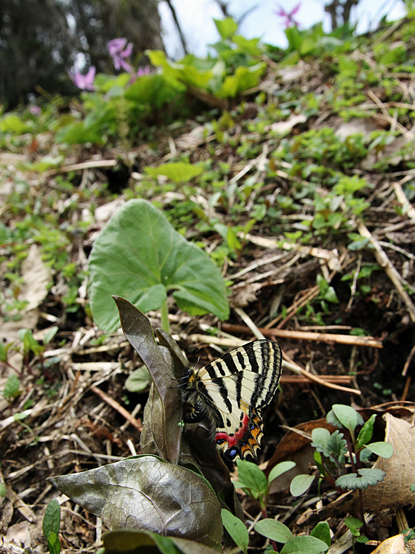 d0054625_9132395.jpg
