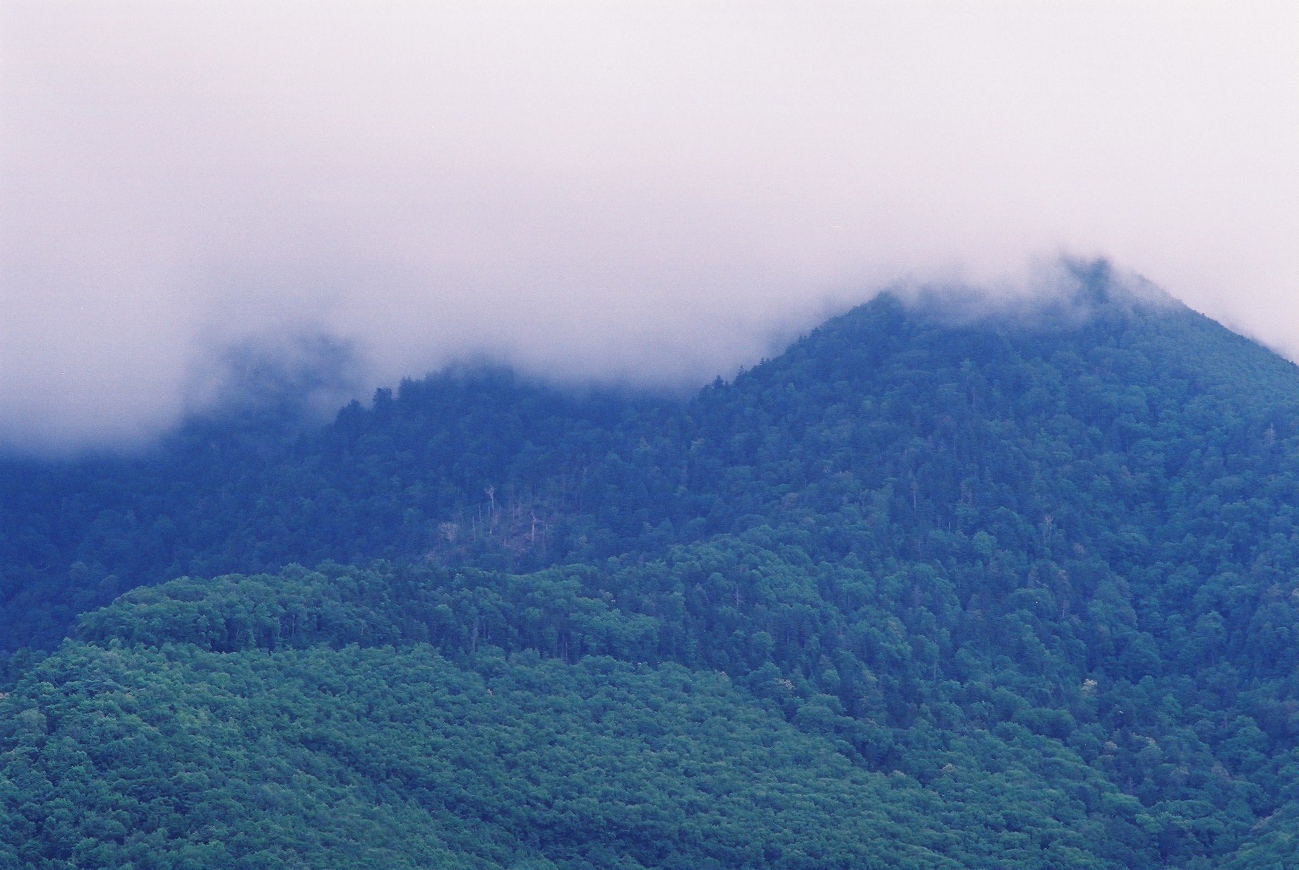 f0362725_14374509.jpg